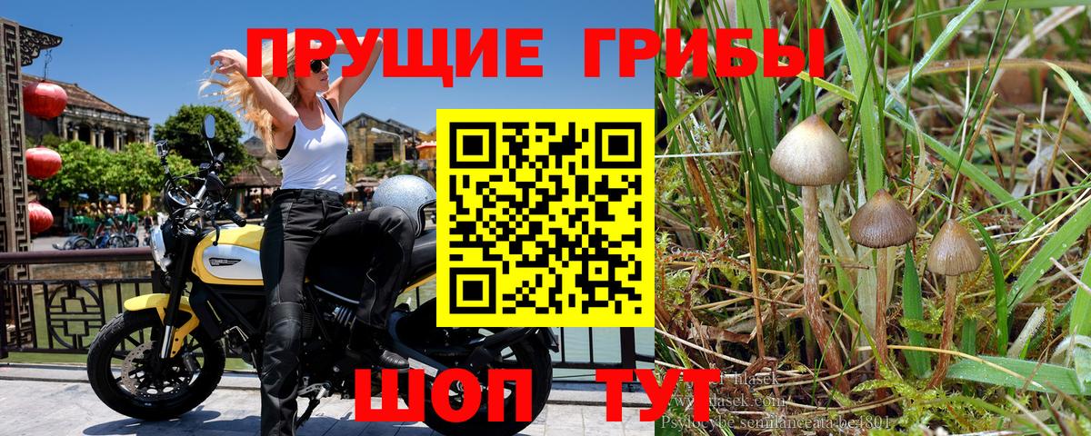 Ковров  Псилоцибиновые грибы ЛСД  Псилоцибиновые грибы Cubensis  Вход с VPN 